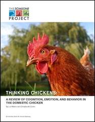 Thinking-Chickens